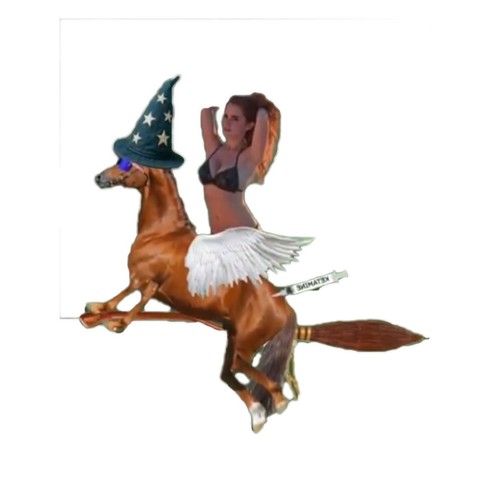 Horse on Ketamine